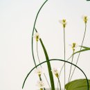 오브제-꽃과빛 이미지