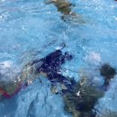 573 SWIMMING POOL 이미지