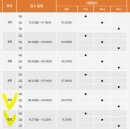 AI자격증 AICE 따라잡기 (초등) | [AICE 정보] AI!?, AICE(에이스) 자격증을 아시나요? Future부터 BASIC까지