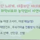 지리산해뜨네