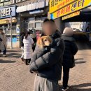 해미네집