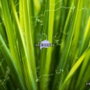 동행시티행정사사무소 이미지