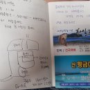 신황금어장 이미지