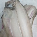 영해젓갈 이미지