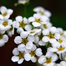 네일갤러리 이미지