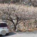 자산동167 이미지