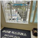 아리울 | 포장이사 내 이사 걱정을 덜어준 아리울익스프레스 후기