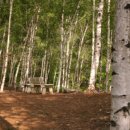 한적1길 이미지