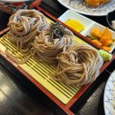 광산구-091 이미지