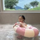 호화로이 이미지