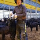 힘찬흑염소 이미지