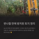 중문동-1 | 🎯 제주 서귀포 중문동 3W 포크레인으로 반나절 만에 고사목 정리 및 감나무 식재를 통해 형질변경 신청...