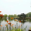 평택농장 이미지