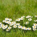 성혜한의원 이미지