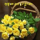 오늘도소중한하루