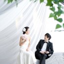 마리스튜디오 이미지