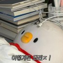 성호민원센터 | 11월 상반기 일상; 언제나 나를 안아주던