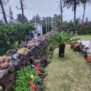 모들737하효 이미지