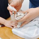 CH동물병원 이미지