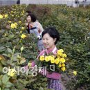 2동공판장 이미지