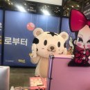 스타일넥스트 이미지