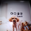 아지공간 이미지