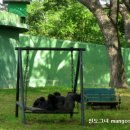 생생동물약국 이미지