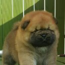 (유)청용 이미지