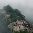 (주)신양관광 이미지
