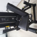 코아루이지움 이미지