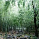 오서산자연휴양림 이미지