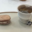 은지세