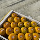 뉴 마인 하우스 | 아 블챌실패요