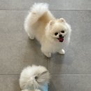 마이몽드 이미지