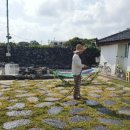 TJ게스트하우스 이미지