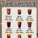 레쯔비 이미지
