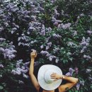 아로마테라피에스테틱 이미지