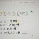 불리카 이미지