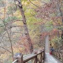 옥정호 아름다운 펜션 이미지