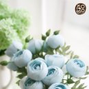 토모스튜디오