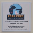 펫러버 그루밍 이미지