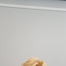 원스타헤어 이미지