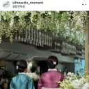 W.4/ 아펠가모 잠실_실루엣모먼트 아이폰스냅 계약 후기 [추천인]
