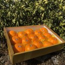 민우농장 이미지