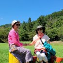 메밀목장 이미지