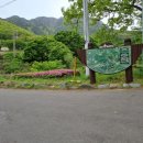 비슬산자연휴양림 이미지