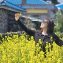 참사랑홈파티스스튜디오우정점 | 제주 서쪽 사진관 추천 | 애월 사진관 어음리 사진관에서 제주 스냅 후기