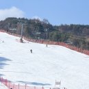설천슈퍼