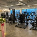 더핏 피트니스 이미지