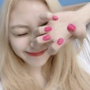 네일예지